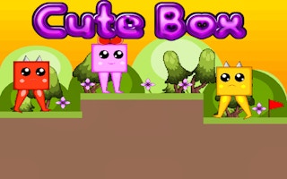 Cute Box