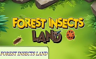 Forest Insects Land